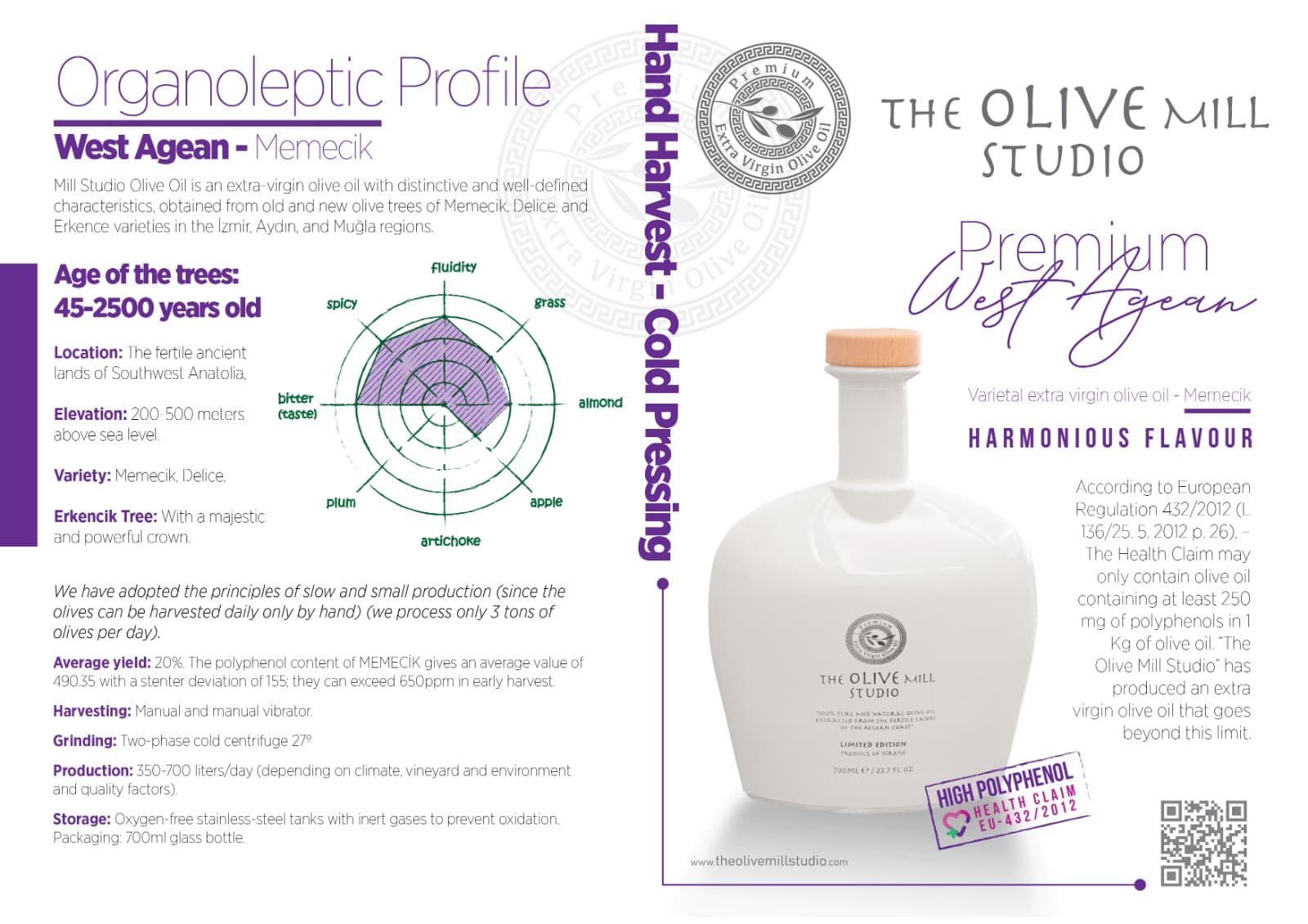 The Olive Mill Studio — studio photograph